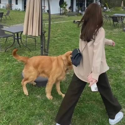 阿游小姐